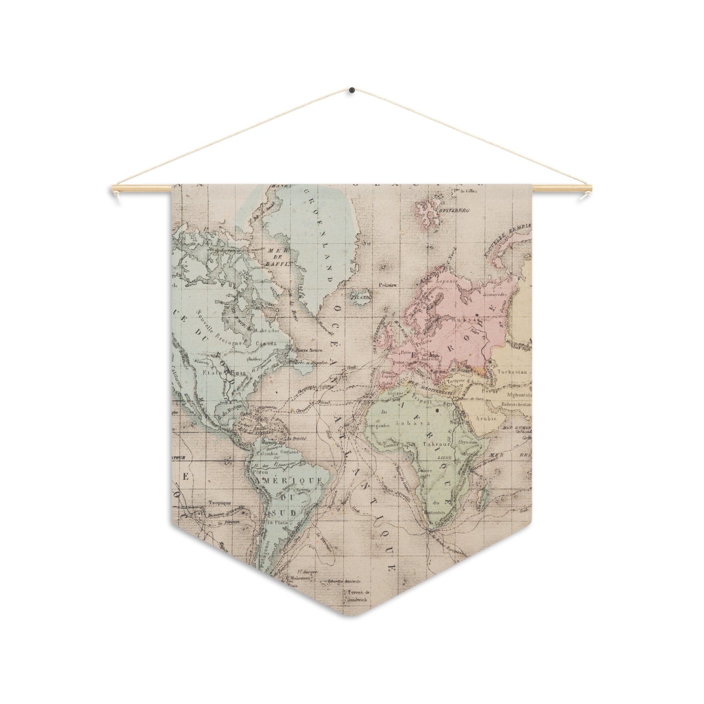 Vintage map pennant