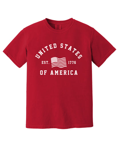 United States of America t-shirt